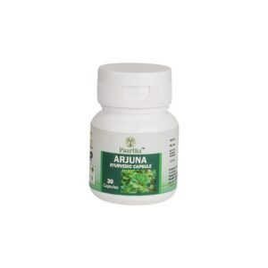 Arjuna Ayurvedic Capsule